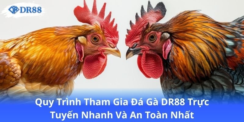 Đá Gà DR88 - Khám Phá Thế Giới Đá Gà Trực Tuyến Đầy Hấp Dẫn 2 quy-trinh-tham-gia-da-ga-dr88-truc-tuyen-nhanh-va-an-toan-nhat