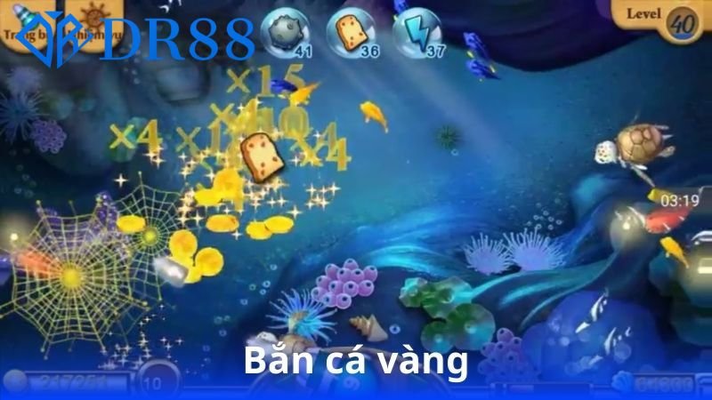ban-ca-vang