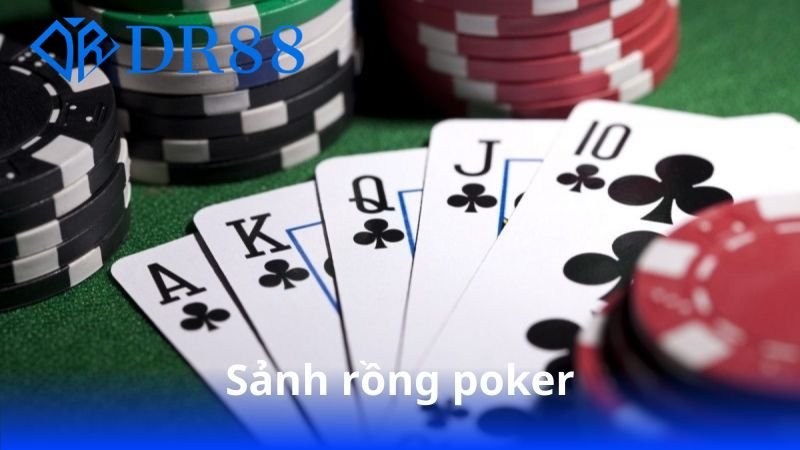 sanh-rong-poker